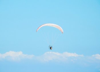 Парашютистка при приземлении застряла на дереве в Томской области