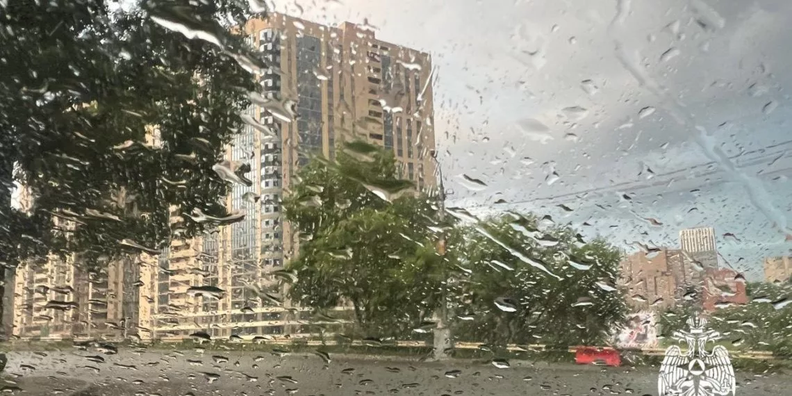 До +31 и дожди — какая погода будет на неделе в Новосибирске