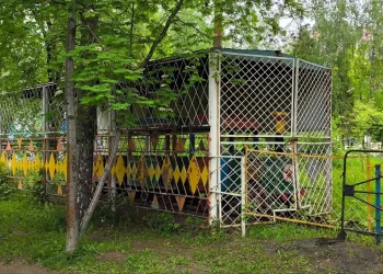 Старый паровозик из Центрального парка Новосибирска дождался пенсии