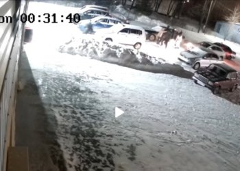 За драку с клюшками и стрельбу будут судить жителей Тогучина