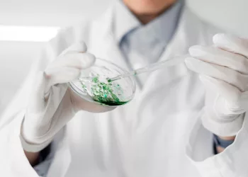 Картины из бактерий покажут бесплатно жителям Новосибирска