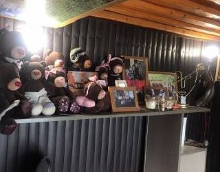 Более 30 раз ударил топором сестру 17-летний житель Искитима