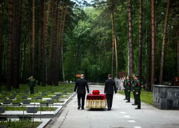 Останки пропавшего без вести ветерана ВОВ из Новосибирска нашли под Новгородом