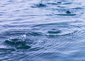 В Новосибирске затопило больше сотни дачных участков