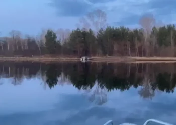 В Красноярске двоим браконьерам грозит срок за вылов более 430 рыб