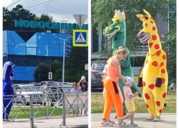 Бандой вымогателей в костюмах животных занялась полиция в Новосибирске