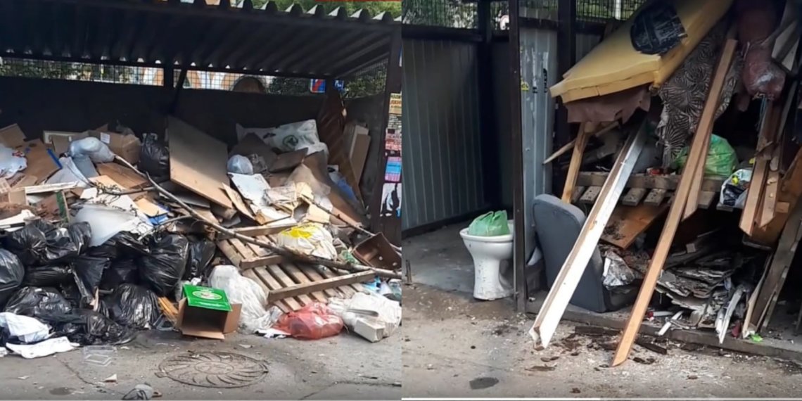 Горы мусора и мертвые голуби: масштабная свалка образовалась возле Новосибирского зоопарка