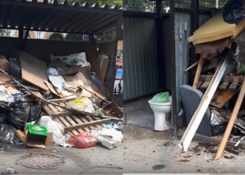 Горы мусора и мертвые голуби: масштабная свалка образовалась возле Новосибирского зоопарка