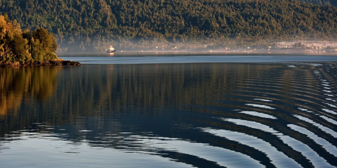 Участники «Последнего героя» убили выдру