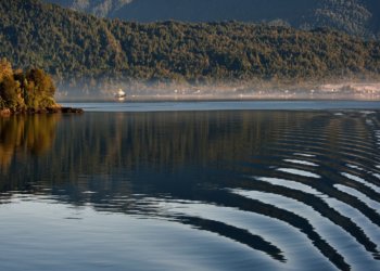 Участники «Последнего героя» убили выдру