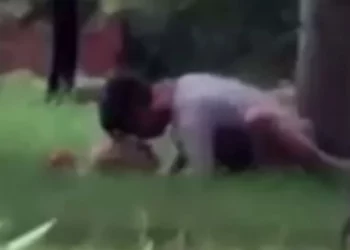 В Новосибирске в сквере на улице Петухова пара предалась любовным утехам