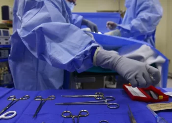 В России с 2025 года увеличат количество бюджетных мест в медвузах