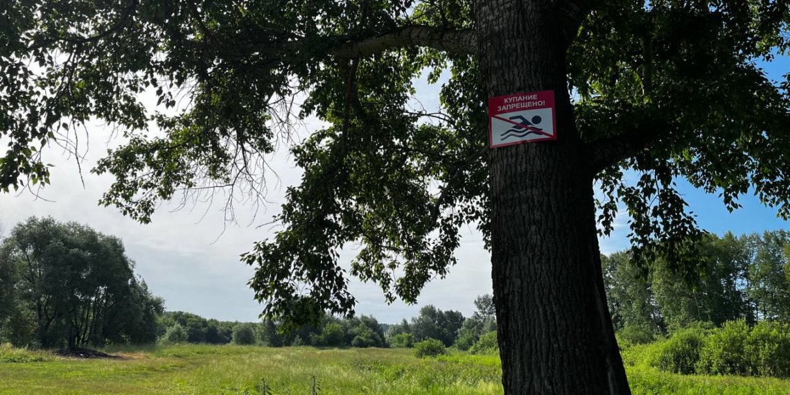 «Вдох, и все, 40 секунд – человека нет!»: как гибнут люди на воде