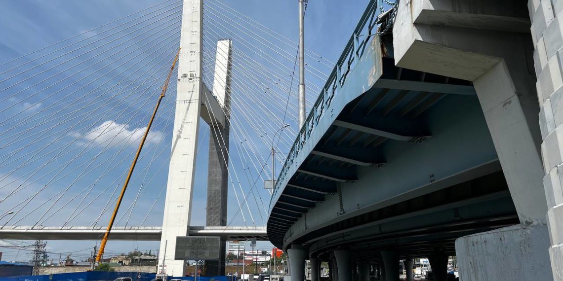 Приложение для знакомств с данными о долгах и алиментах разрабатывают в России