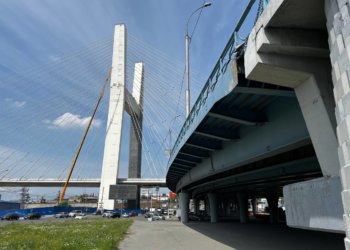 Приложение для знакомств с данными о долгах и алиментах разрабатывают в России