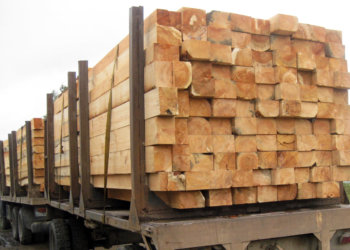 Черные лесорубы пытались вывезти из Сибири древесину на 8 млн рублей