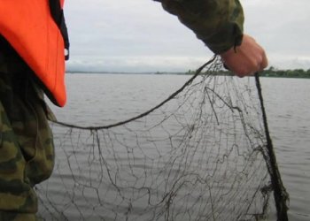 В Новосибирской области осудят мужчину за незаконную рыбалку во время нереста