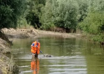 В реке Обь у парка «Арена» обнаружили тело жителя Новосибирска