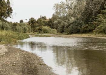 Из-за риска инфекций местным жителям запретили купаться в реке под Новосибирском