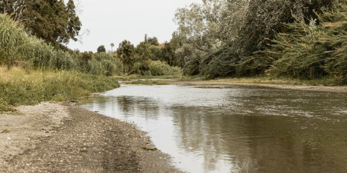 Из-за риска инфекций местным жителям запретили купаться в реке под Новосибирском