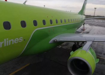 Посадить самолет не могли из-за лисы на взлетной полосе в Новосибирске