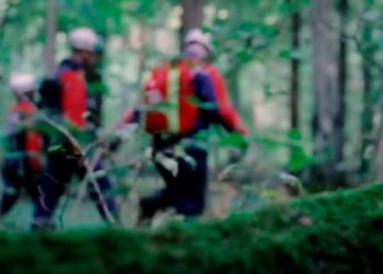 В Новосибирской области с начала года в лесах пропали 17 человек