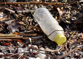 Новый губернатор Республики Алтай признал провал мусорной реформы