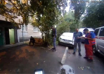 Убить чужую тёщу заточкой хотел сибиряк на Выборной в Новосибирске