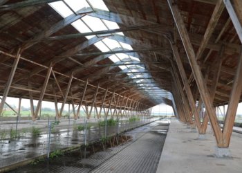 Сбер и «МолСиб» подписали соглашение о сотрудничестве