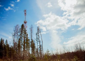 Раскачались: Tele2 проанализировала интернет-трафик клиентов в новосибирской глубинке