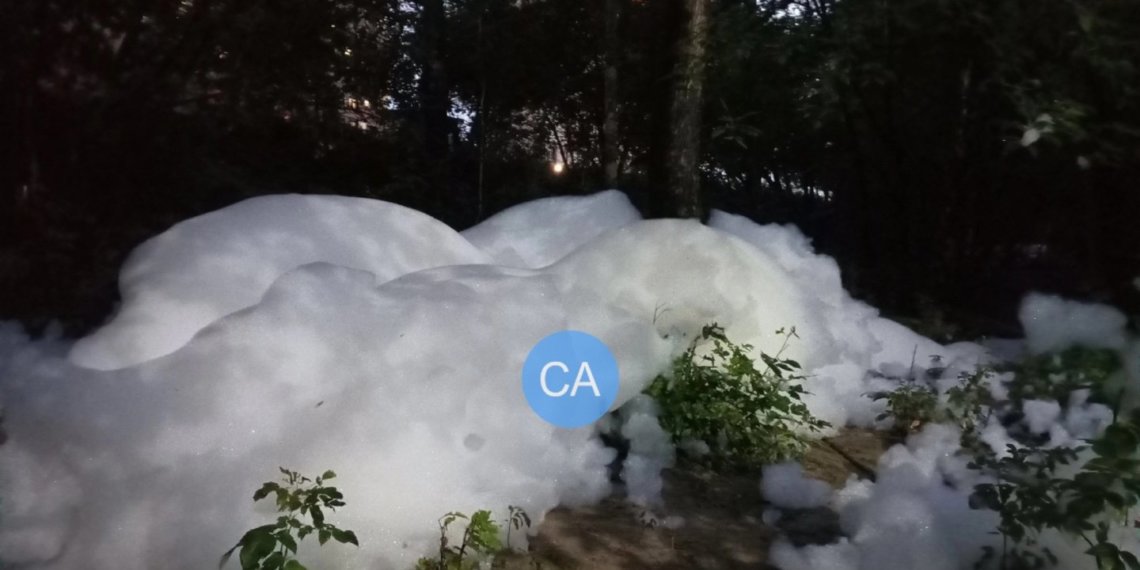 Химическая пена заполонила улицы Академгородка в Новосибирске