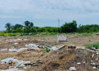 Мэрию Новосибирска суд обязал ликвидировать свалку в Верх-Тулинском сельсовете