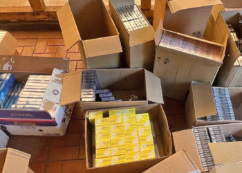 Спаниель Кинг-Конг помогла найти запрещенные сигареты в Кемеровской области