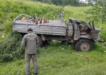 К 10 годам колонии приговорили виновника смертельного ДТП с туристами на Алтае