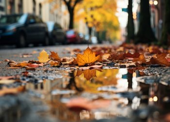 Неделя осенних фестивалей стартовала в Новосибирске