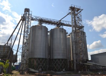 Накануне завершения уборочной компании «Россети Новосибирск» подготовили электросети для элеватора и зерносушильного комплекса