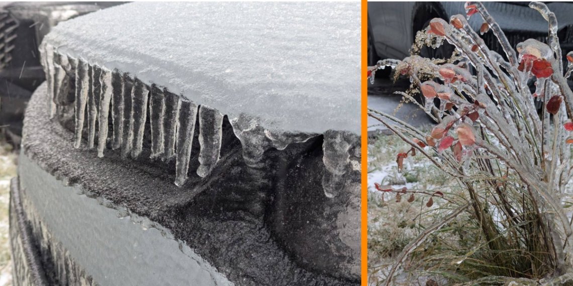 Всё будто в глазури: сибиряки делятся фото с последствиями ледяного дождя