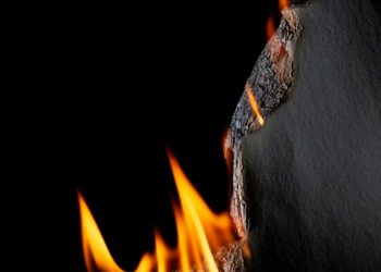 Две сотни пожаров произошли в Новосибирской области за неделю