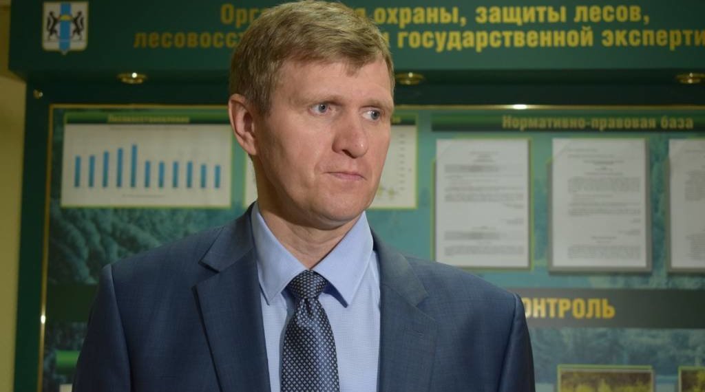 Ушедший после проверки новосибирский чиновник стал лесным инспектором Забайкалья