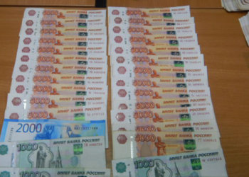 В Толмачево фокстерьер Бьёрн выявил нелегальный вывоз более 1 млн рублей