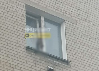 Вероятно, мертва: в Новосибирске кошка висит в окне три дня