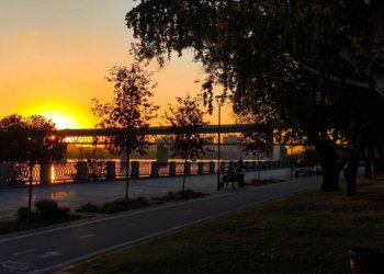 Афиша выходных 12 и 13 октября: бесплатное кино, выставка, лекция