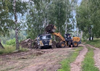 В районе Новосибирской области ликвидировали 11 незаконных свалок