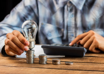 Председатель СНТ под Новосибирском незаконным путем завысил тариф на электроэнергию