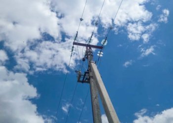 Почти 2000 опор ЛЭП заменили в Новосибирской области