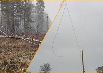 Из-за шквалистого ветра 11 районов Новосибирской области остались без света