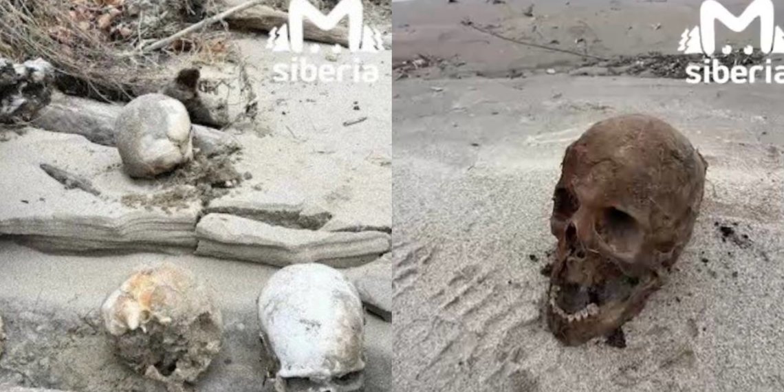 «Туристы играют с костями»: новосибирские активисты попросили спасти историческое кладбище