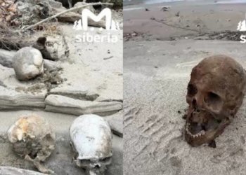 «Туристы играют с костями»: новосибирские активисты попросили спасти историческое кладбище