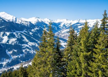 Ко Дню Сибири: топ-10 интересных фактов о крупнейшем регионе России