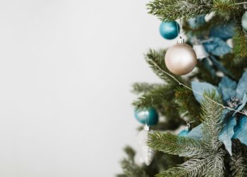 Живые елки на новый год подорожают на 10-20%